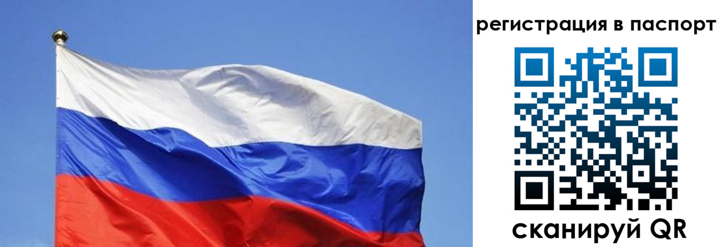 прописка в квартире в Истре